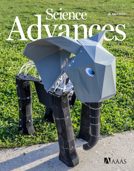 Science Advances cover, 18 July 2025