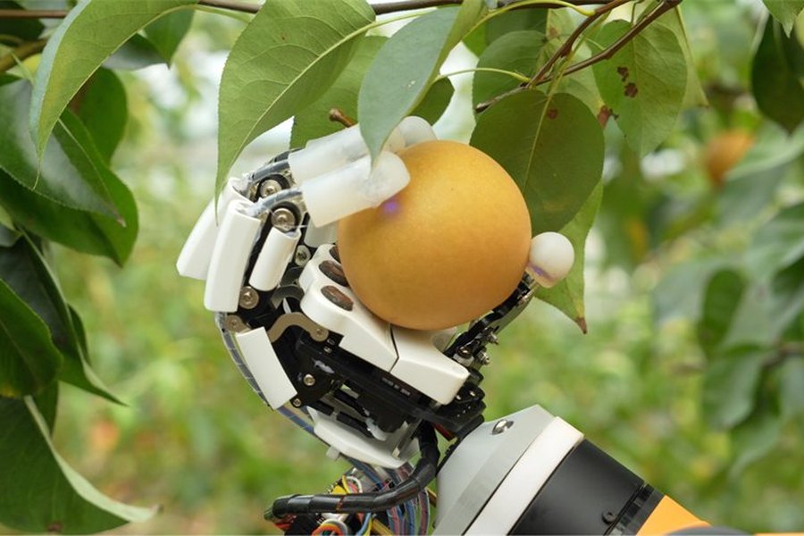 Robotic hand with optical/electronic skin grasping a pear