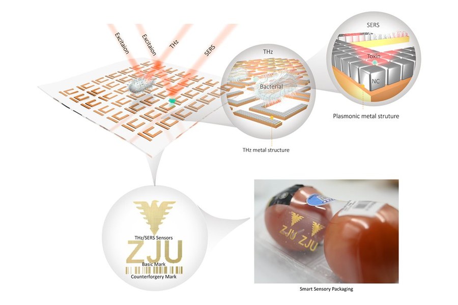 Smart sensory packaging illustration with metamaterial sensors